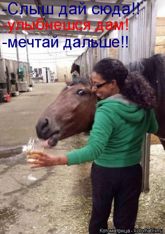 -Слыш дай сюда!! -улыбнешся дам! -мечтай дальше!!... Котоматрица: -Слыш дай сюда!! -улыбнешся дам! -мечтай дальше!!