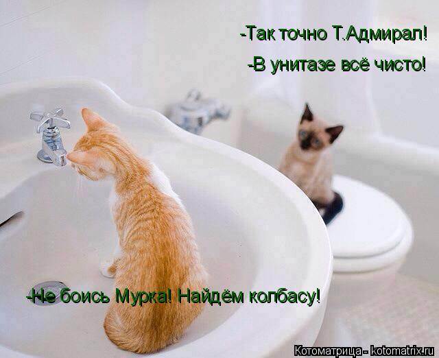 -Не боись Мурка! Найдём колбасу! -Так точно Т.Адмирал! -В унитазе всё чисто!... Котоматрица: -Не боись Мурка! Найдём колбасу! -Так точно Т.Адмирал! -В унитазе всё чисто!