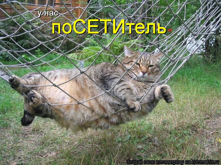 поСЕТИтель у нас... Котоматрица: поСЕТИтель у нас