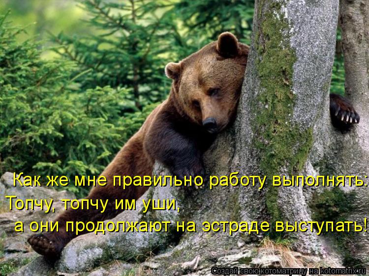 Как же мне правильно работу выполнять: Топчу, топчу им уши, а они продолжают на эстраде выступать!... Котоматрица: Как же мне правильно работу выполнять: Топчу, топчу им уши, а они продолжают на эстраде выступать!