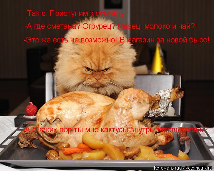 -Так-с. Приступим к осмотру. -А где сметана? Огрурец? Перец, молоко и чай?! -Это же есть не возможно!... Котоматрица: -Так-с. Приступим к осмотру. -А где сметана? Огрурец? Перец, молоко и чай?! -Это же есть не возможно! В магазин за новой быро! -А с каких пор ты мне