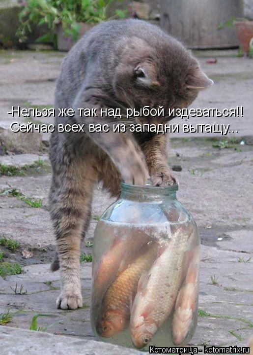 -Нельзя же так над рыбой издеваться!! Сейчас всех вас из западни вытащу...... Котоматрица: -Нельзя же так над рыбой издеваться!! Сейчас всех вас из западни вытащу...
