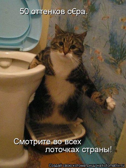 50 оттенков с€ра. Смотрите во всех лоточках страны!... Котоматрица: 50 оттенков с€ра. Смотрите во всех лоточках страны!