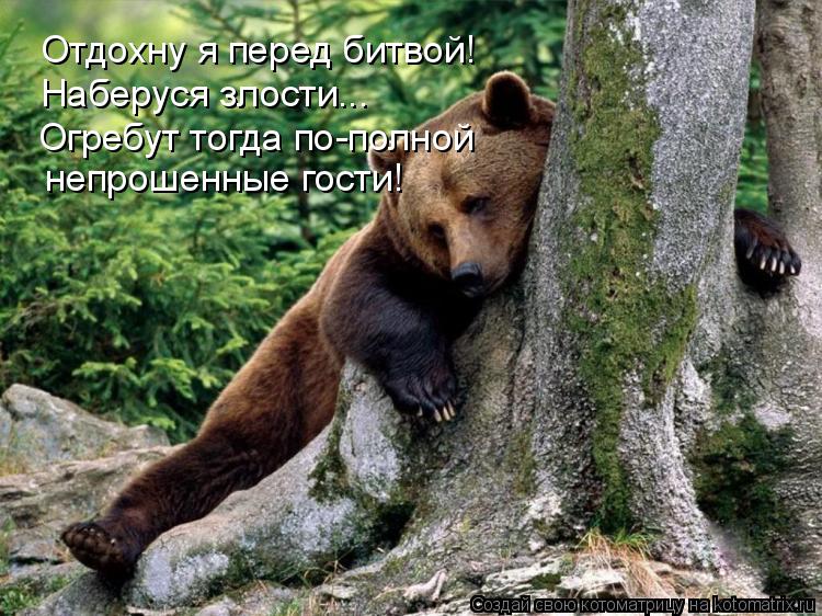 Отдохну я перед битвой! Наберуся злости... Огребут тогда по-полной непрошенные гости!... Котоматрица: Отдохну я перед битвой! Наберуся злости... Огребут тогда по-полной непрошенные гости!