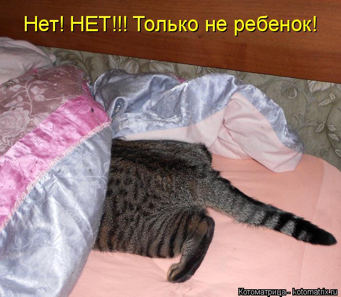 Нет! НЕТ!!! Только не ребенок!... Котоматрица: Нет! НЕТ!!! Только не ребенок!