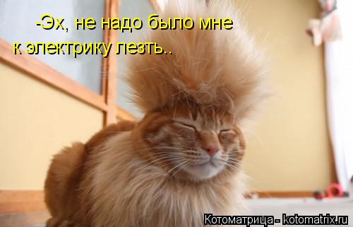 -Эх, не надо было мне к электрику лезть..... Котоматрица: -Эх, не надо было мне к электрику лезть..