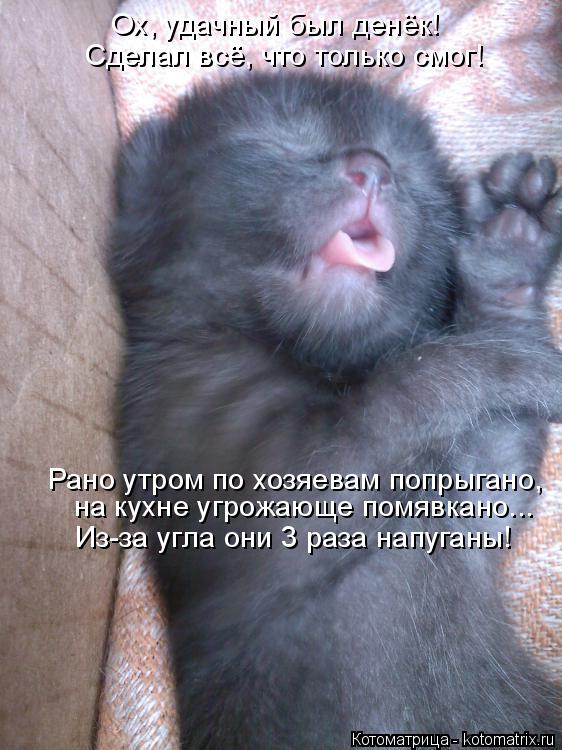 Ох, удачный был денёк! Сделал всё, что только смог! Рано утром по хозяевам попрыгано, на кухне угрожа... Котоматрица: Ох, удачный был денёк! Сделал всё, что только смог! Рано утром по хозяевам попрыгано, на кухне угрожающе помявкано... Из-за угла они 3 раза напу