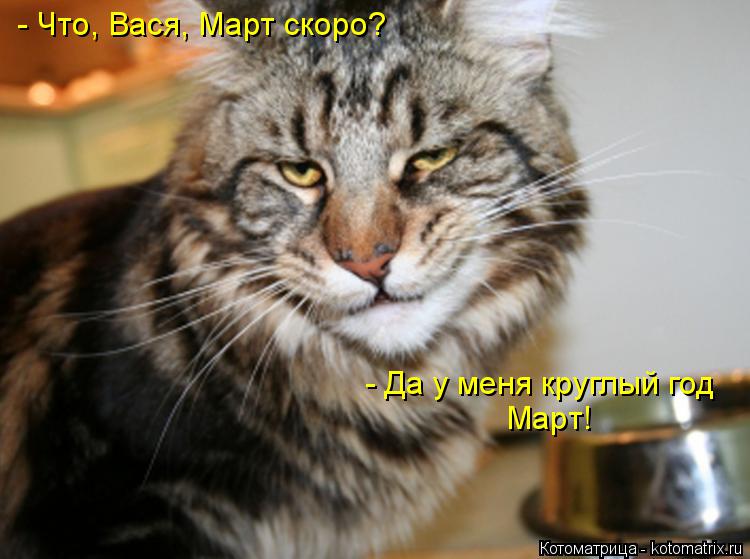 - Что, Вася, Март скоро? - Да у меня круглый год Март!... Котоматрица: - Что, Вася, Март скоро? - Да у меня круглый год Март!