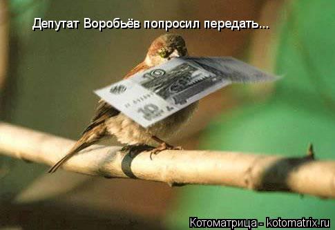 Депутат Воробьёв попросил передать...... Котоматрица: Депутат Воробьёв попросил передать...