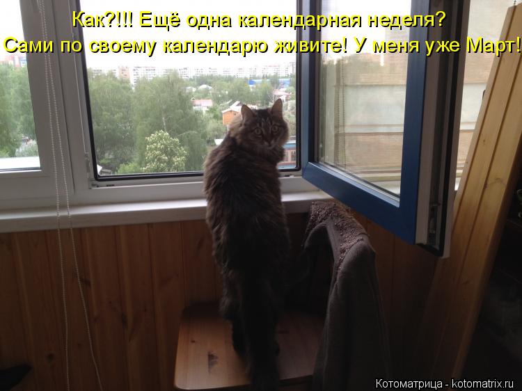 Как?!!! Ещё одна календарная неделя? Сами по своему календарю живите! У меня уже Март!... Котоматрица: Как?!!! Ещё одна календарная неделя? Сами по своему календарю живите! У меня уже Март!