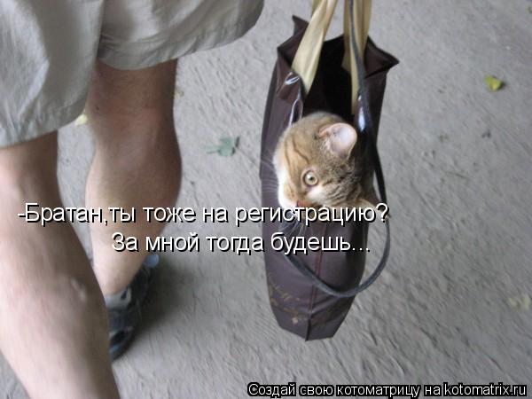 -Братан,ты тоже на регистрацию? За мной тогда будешь...... Котоматрица: -Братан,ты тоже на регистрацию? За мной тогда будешь...
