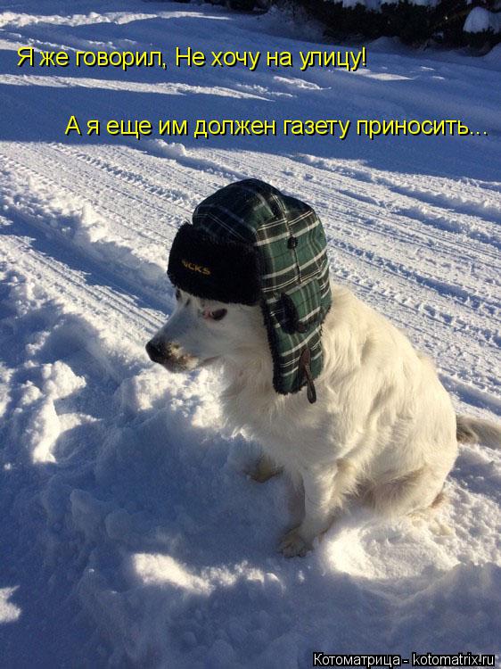 Я же говорил, Не хочу на улицу! А я еще им должен газету приносить...... Котоматрица: Я же говорил, Не хочу на улицу! А я еще им должен газету приносить...