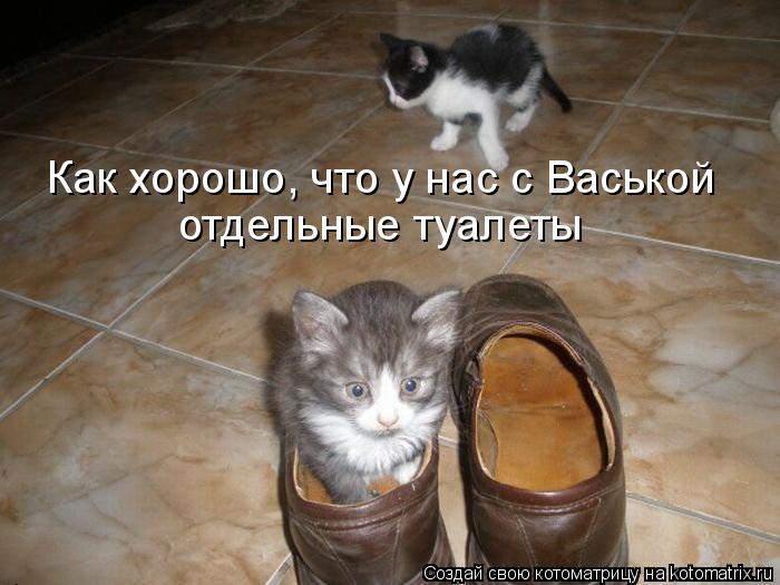 Как хорошо, что у нас с Васькой отдельные туалеты... Котоматрица: Как хорошо, что у нас с Васькой отдельные туалеты