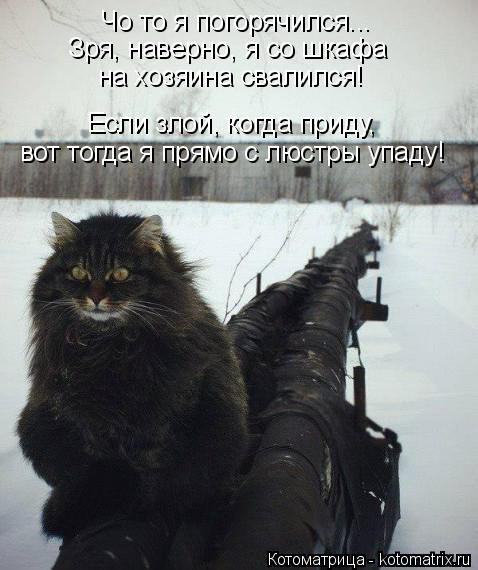 Чо то я погорячился... Зря, наверно, я со шкафа на хозяина свалился! Если злой, когда приду, вот тогд... Котоматрица: Чо то я погорячился... Зря, наверно, я со шкафа на хозяина свалился! Если злой, когда приду, вот тогда я прямо с люстры упаду!