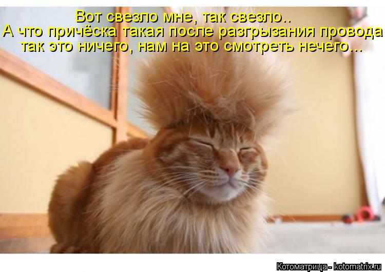 Первый юбилей. 10 лет. Сценарий детского Дня рождения Оформление/получение виз самостоятельно
