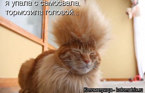 я упала с самосвала, тормозила головой...... Котоматрица: я упала с самосвала, тормозила головой...