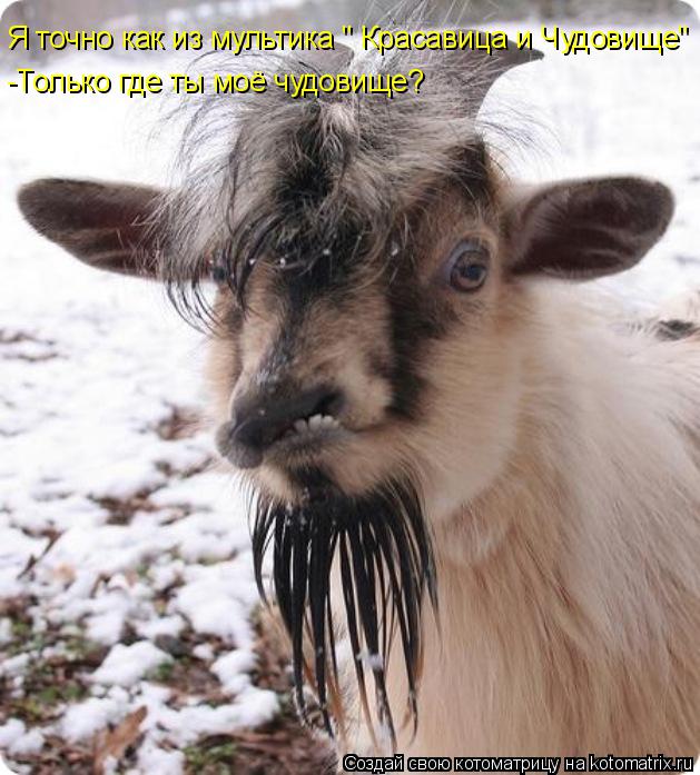Я точно как из мультика " Красавица и Чудовище" -Только где ты моё чудовище?... Котоматрица: Я точно как из мультика " Красавица и Чудовище" -Только где ты моё чудовище?