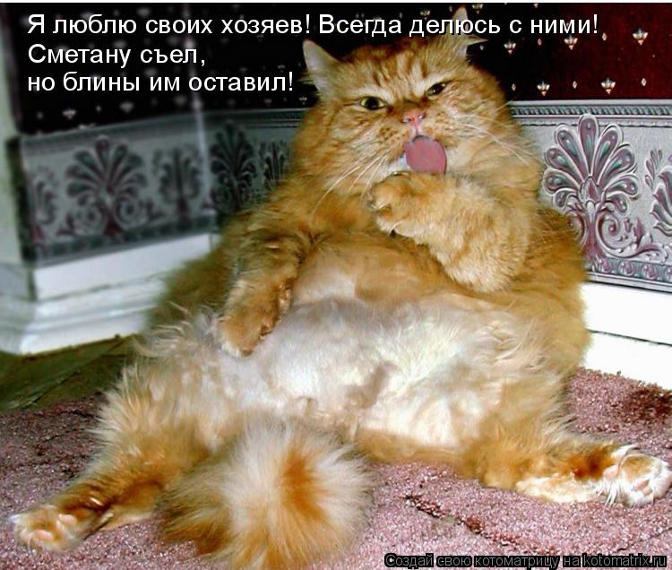 Сметану съел, но блины им оставил! Я люблю своих хозяев! Всегда делюсь с ними!... Котоматрица: Сметану съел, но блины им оставил! Я люблю своих хозяев! Всегда делюсь с ними!