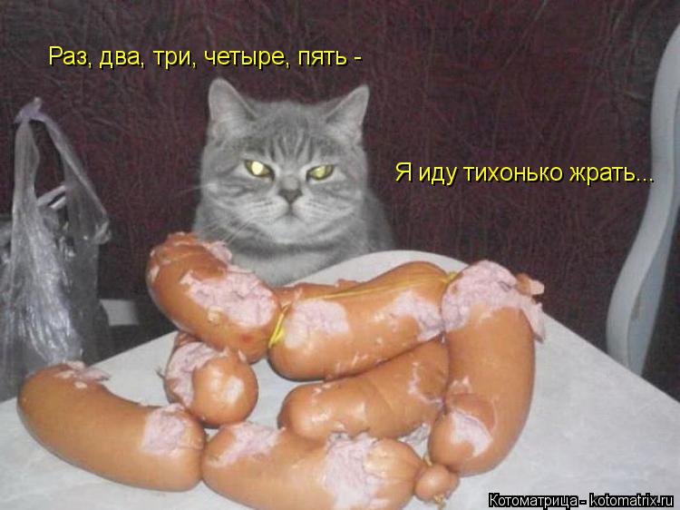Раз, два, три, четыре, пять - Я иду тихонько жрать...... Котоматрица: Раз, два, три, четыре, пять - Я иду тихонько жрать...