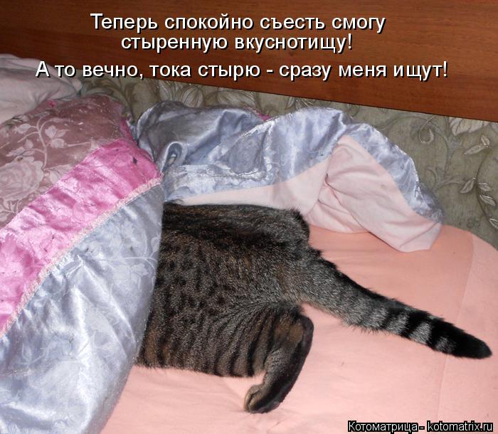 Теперь спокойно съесть смогу стыренную вкуснотищу! А то вечно, тока стырю - сразу меня ищут!... Котоматрица: Теперь спокойно съесть смогу стыренную вкуснотищу! А то вечно, тока стырю - сразу меня ищут!