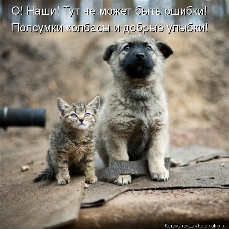 О! Наши! Тут не может быть ошибки! Полсумки колбасы и добрые улыбки!... Котоматрица: О! Наши! Тут не может быть ошибки! Полсумки колбасы и добрые улыбки!