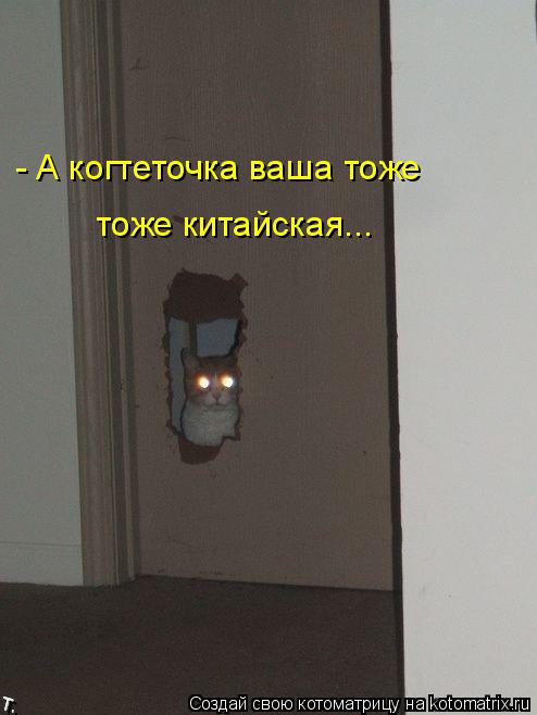 - А когтеточка ваша тоже тоже китайская...... Котоматрица: - А когтеточка ваша тоже тоже китайская...