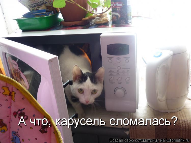А что, карусель сломалась?... Котоматрица: А что, карусель сломалась?