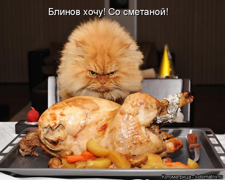 Блинов хочу! Со сметаной!... Котоматрица: Блинов хочу! Со сметаной!