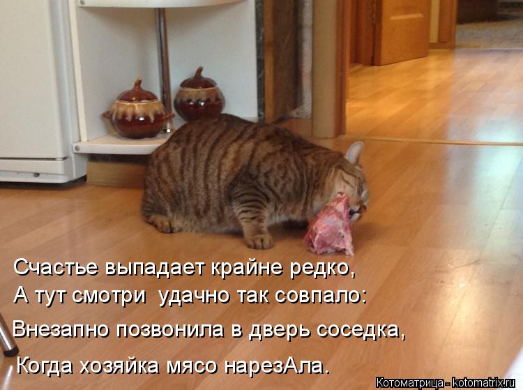 Внезапно позвонила в дверь соседка, Когда хозяйка мясо нарезАла. А тут смотри удачно так совпало: Сч... Котоматрица: Внезапно позвонила в дверь соседка, Когда хозяйка мясо нарезАла. А тут смотри удачно так совпало: Счастье выпадает крайне редко,