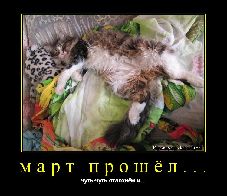 март прошёл... чуть-чуть отдохнём и...... Котоматрица: март прошёл... чуть-чуть отдохнём и...