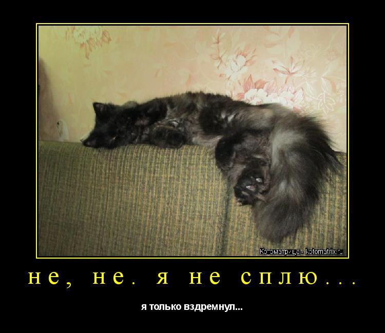 не, не. я не сплю... я только вздремнул...... Котоматрица: не, не. я не сплю... я только вздремнул...