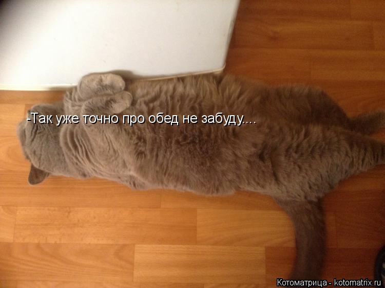 Котоматрица: -Так уже точно про обед не забуду....