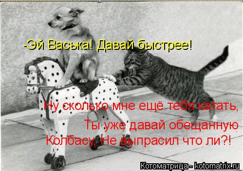 -Эй Васька! Давай быстрее! Ну сколько мне ещё тебя катать, Ты уже давай обещанную колбасу, Колбасу, Н... Котоматрица: -Эй Васька! Давай быстрее! Ну сколько мне ещё тебя катать, Ты уже давай обещанную колбасу, Колбасу, Не выпрасил что ли?!