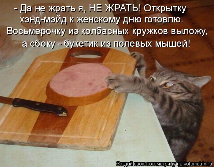 - Да не жрать я, НЕ ЖРАТЬ! Открытку хэнд-мэйд к женскому дню готовлю. Восьмерочку из колбасных кружк... Котоматрица: - Да не жрать я, НЕ ЖРАТЬ! Открытку хэнд-мэйд к женскому дню готовлю. Восьмерочку из колбасных кружков выложу, а сбоку - букетик из полевых мы