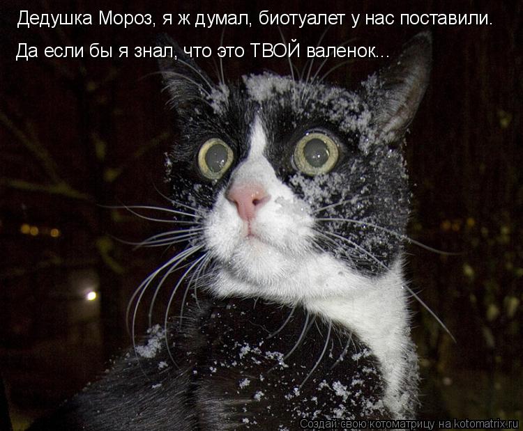 http://kotomatrix.ru/images/lolz/2015/02/22/kotomatritsa_BJ.jpg