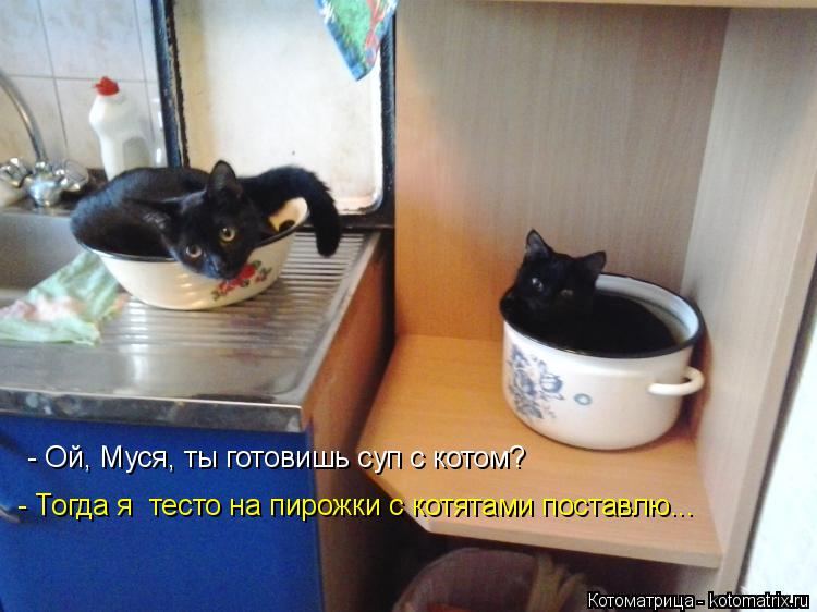 Котоматрица: - Тогда я  тесто на пирожки с котятами поставлю...  - Ой, Муся, ты готовишь суп с котом?
