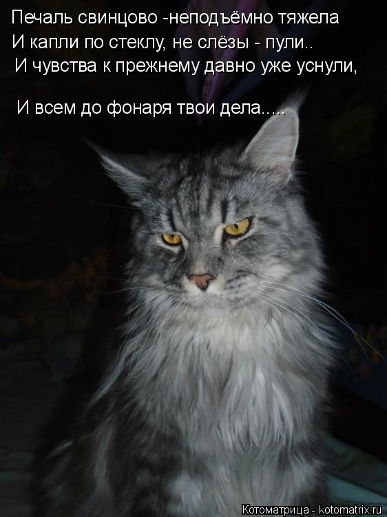 Печаль свинцово -неподъёмно тяжела И капли по стеклу, не слёзы - пули.. И чувства к прежнему давно уж... Котоматрица: Печаль свинцово -неподъёмно тяжела И капли по стеклу, не слёзы - пули.. И чувства к прежнему давно уже уснули, И всем до фонаря твои дела.....