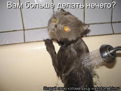 Котоматрица: Вам больше делать нечего?