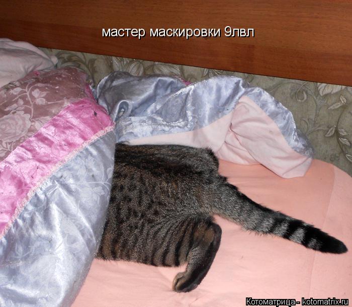 мастер маскировки мастер маскировки 9лвл... Котоматрица: мастер маскировки мастер маскировки 9лвл