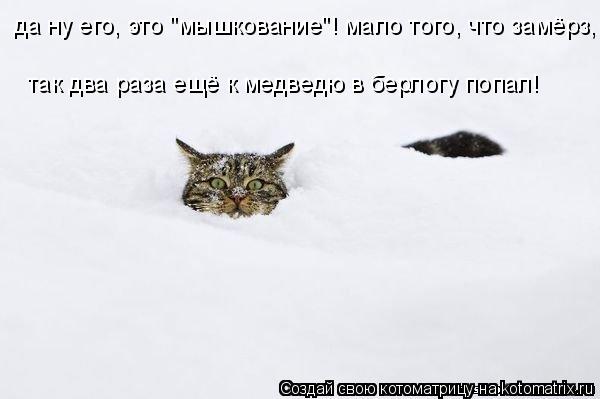 да ну его, это "мышкование"! мало того, что замёрз, так два раза ещё к медведю в берлогу попал!... Котоматрица: да ну его, это "мышкование"! мало того, что замёрз, так два раза ещё к медведю в берлогу попал!