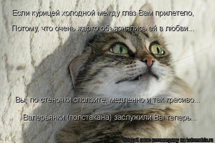 Котоматрица: Если курицей холодной между глаз Вам прилетело, Вы, по стеночки сползите, медленно и так красиво... Валерьянки (полстакана) заслужили Вы тепе