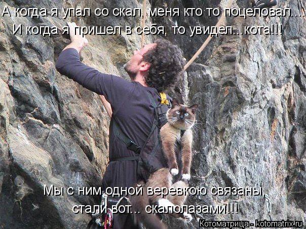А когда я упал со скал, меня кто то поцеловал.... И когда я пришел в себя, то увидел...кота!!! Мы с н... Котоматрица: А когда я упал со скал, меня кто то поцеловал.... И когда я пришел в себя, то увидел...кота!!! Мы с ним одной веревкою связаны, стали вот... скалол