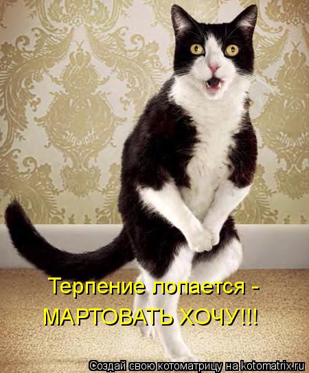 Терпение лопается - МАРТОВАТЬ ХОЧУ!!!... Котоматрица: Терпение лопается - МАРТОВАТЬ ХОЧУ!!!