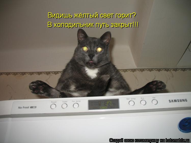 Котоматрица: Видишь жёлтый свет горит?  В холодильник путь закрыт!!!