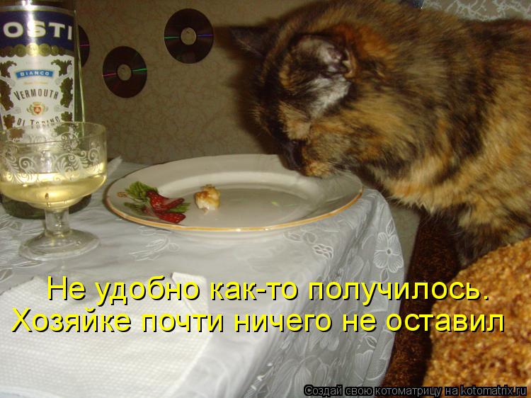 Котоматрица: Не удобно как-то получилось. Хозяйке почти ничего не оставил