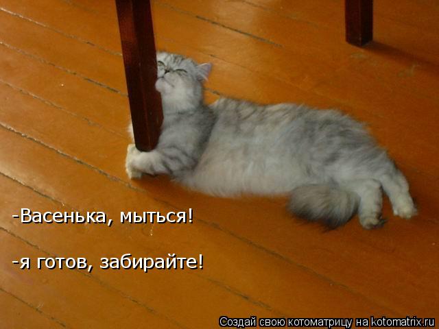 -я готов, забирайте! -Васенька, мыться!... Котоматрица: -я готов, забирайте! -Васенька, мыться!