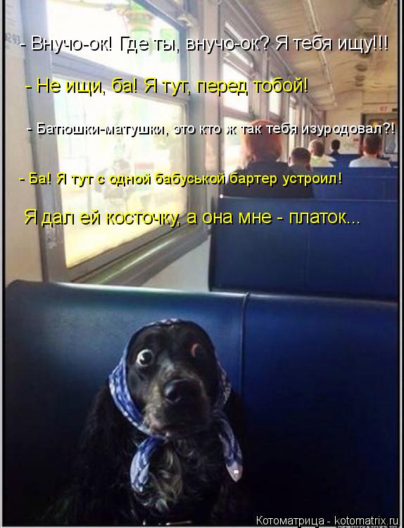 - Внучо-ок! Где ты, внучо-ок? Я тебя ищу!!! - Не ищи, ба! Я тут, перед тобой! - Ба! Я тут с одной баб... Котоматрица: - Внучо-ок! Где ты, внучо-ок? Я тебя ищу!!! - Не ищи, ба! Я тут, перед тобой! - Ба! Я тут с одной бабуськой бартер устроил! Я дал ей косточку, а она мн