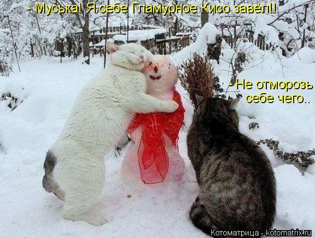 Котоматрица: - Муська! Я себе Гламурное Кисо завёл!! - Не отморозь себе чего..