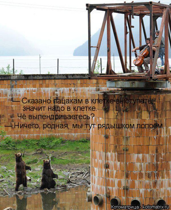 — Сказано пацакам в клетке выступать, значит надо в клетке. Чё выпендриваетесь? — Ничего, родная, м... Котоматрица: — Сказано пацакам в клетке выступать, значит надо в клетке. Чё выпендриваетесь? — Ничего, родная, мы тут рядышком попоём.