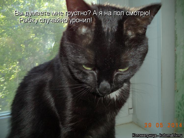 Вы думаете мне грустно? А я на пол смотрю! Рыбку случайно уронил!... Котоматрица: Вы думаете мне грустно? А я на пол смотрю! Рыбку случайно уронил!